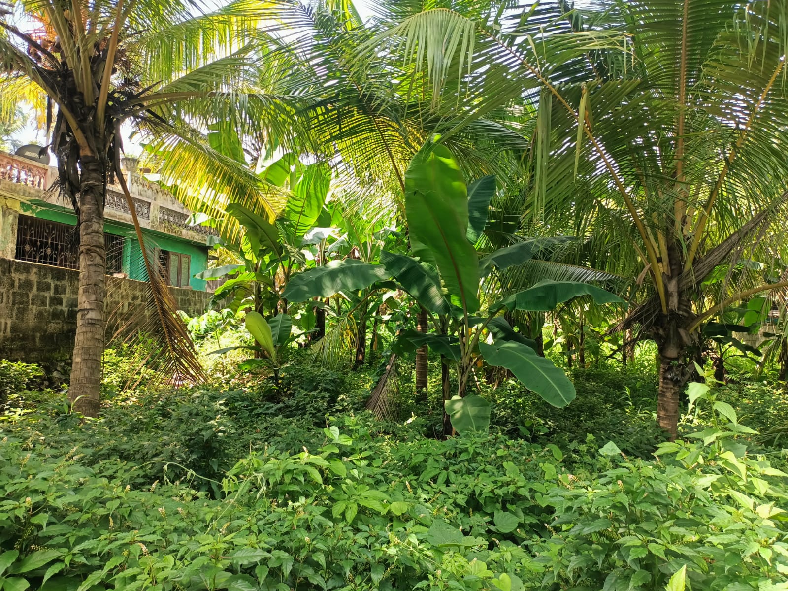 14 Cent Residential plot for sale in Marthandam (North Street)