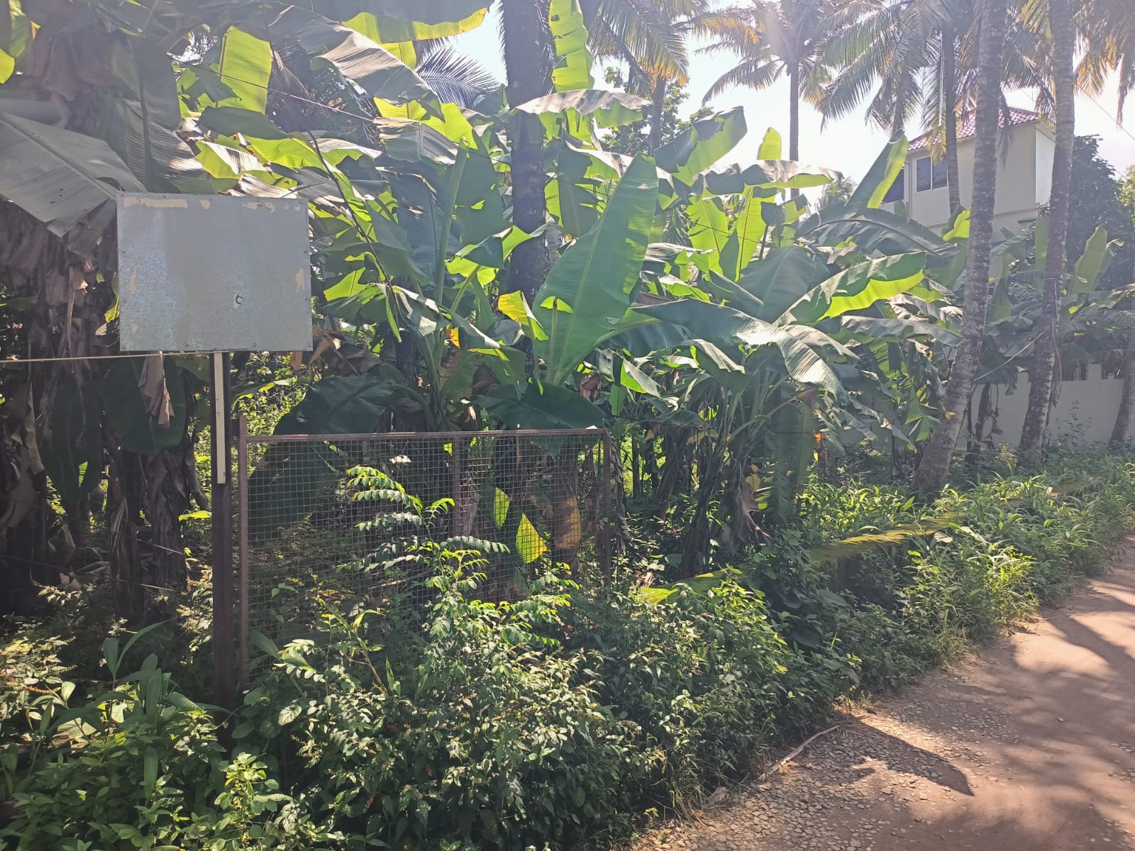 7.50 Cent Residential Plot for sale in Marthandam (Kodumkulam)
