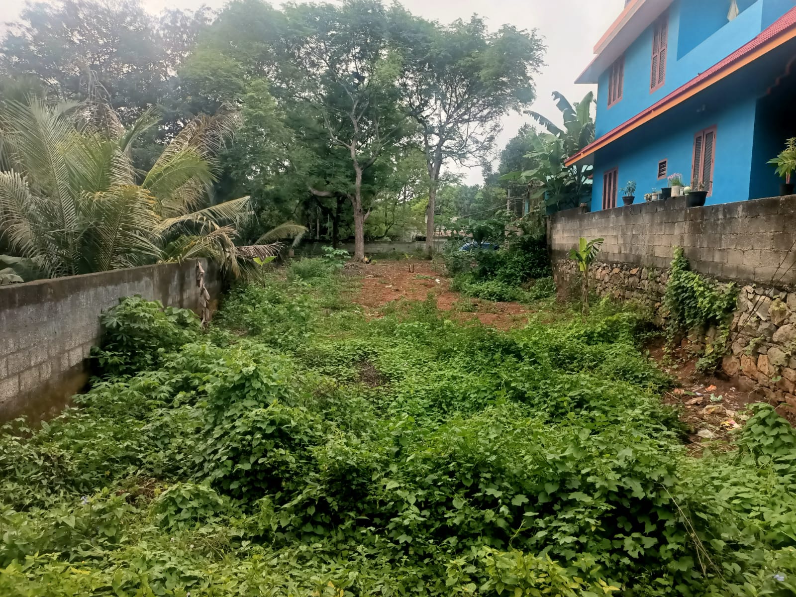 9 Cent Residential plot for sale in Musari