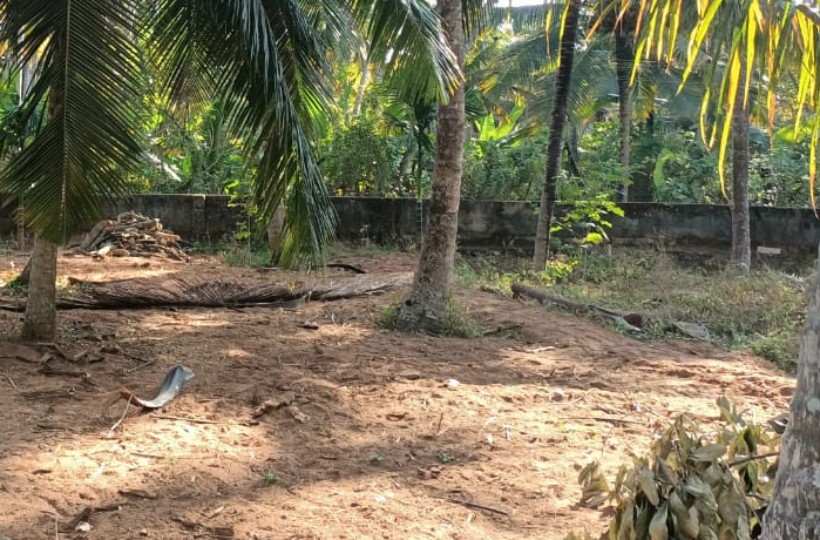 10 Cent Residential Plot for sale in Mandaikadu