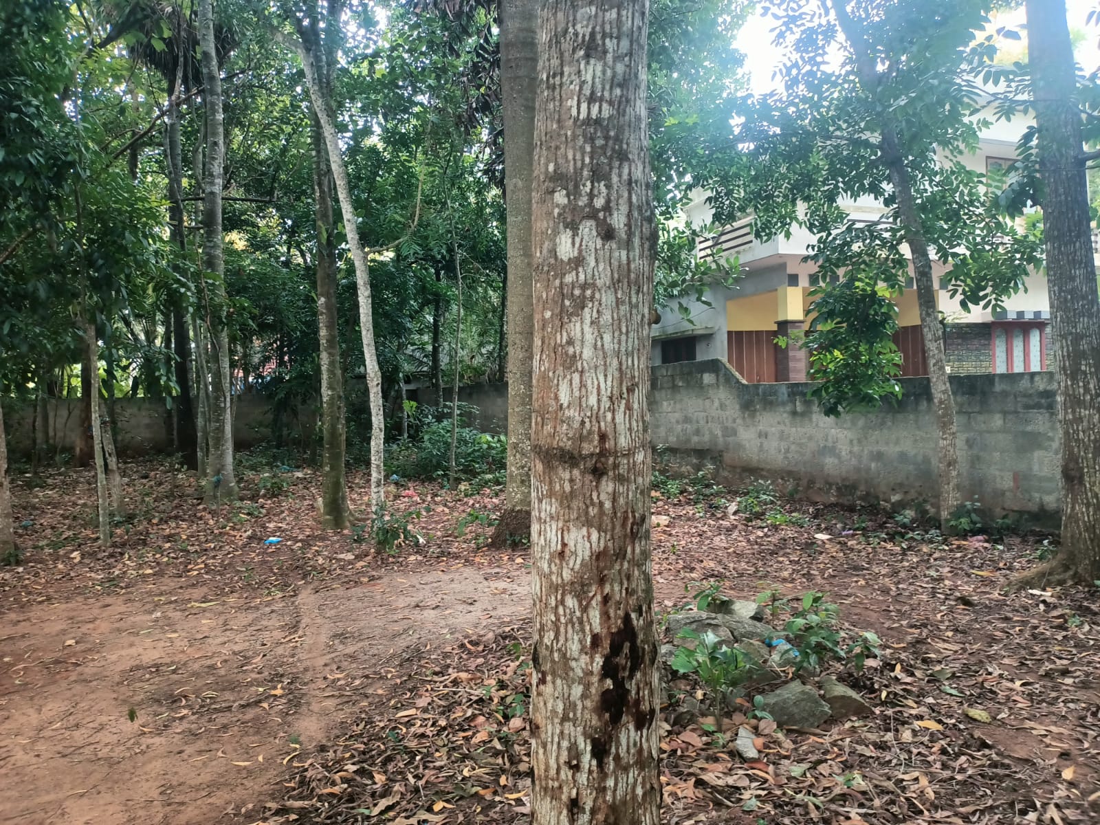 10 Cent Residential Plot For Sale In Nithiravilai