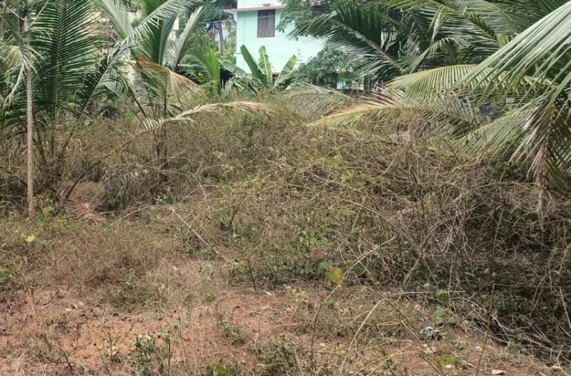 12 Cent Residential Plot for sale in Amsi mukku