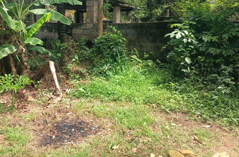 12 Cent Residential Plot for sale in Nariyanvilai