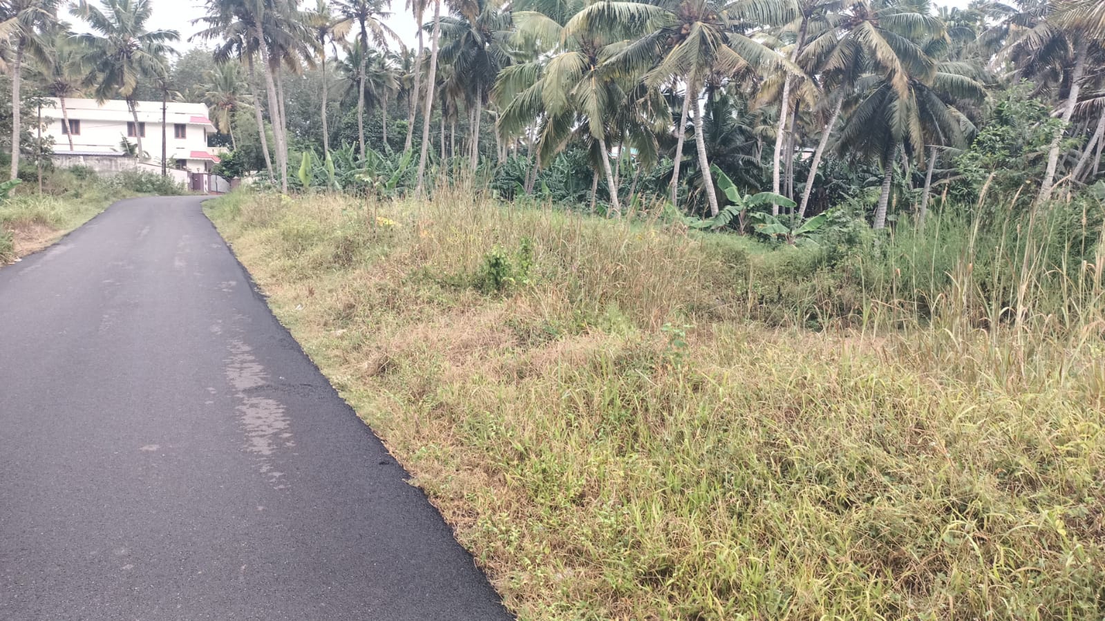 13.50 Cent Residential plot for sale in Kakavilai
