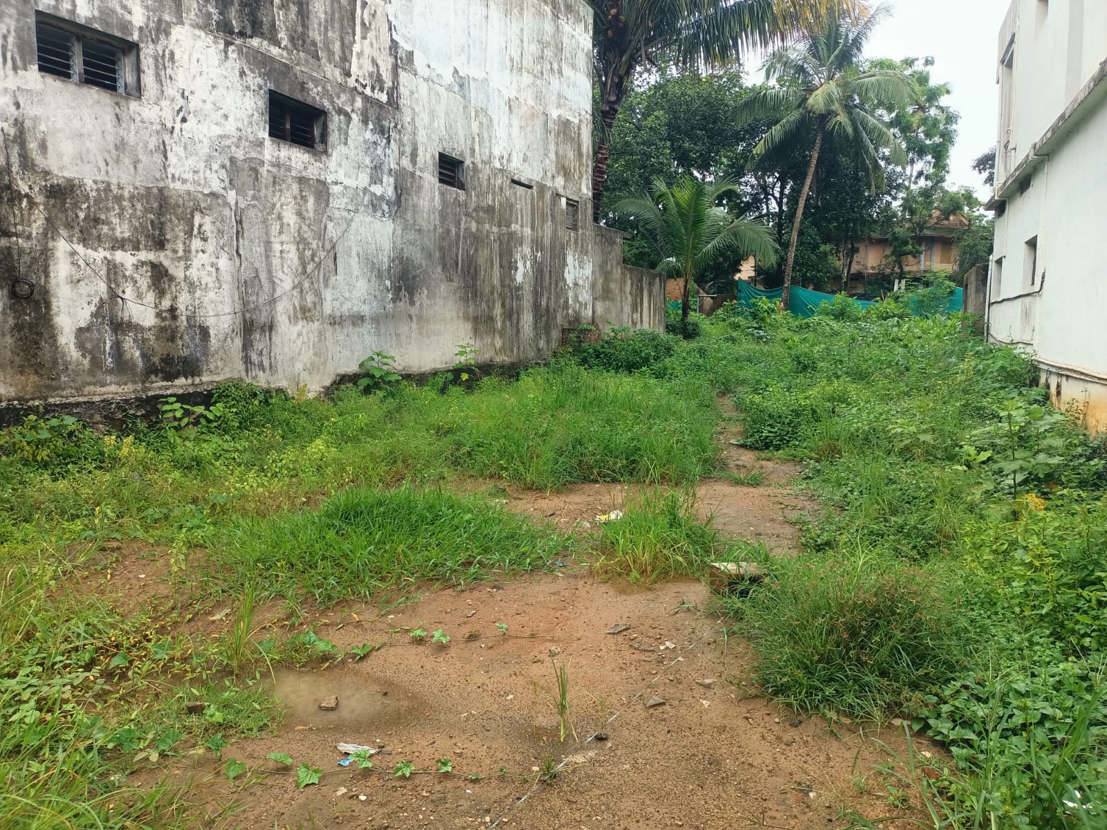 14 Cent Commercial Land  for sale in Arumanai