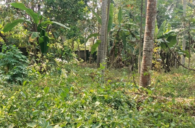 1 Acre 50 Cent Residential Plot for sale in Cheruvarakonam (Near 4-Lane Road)