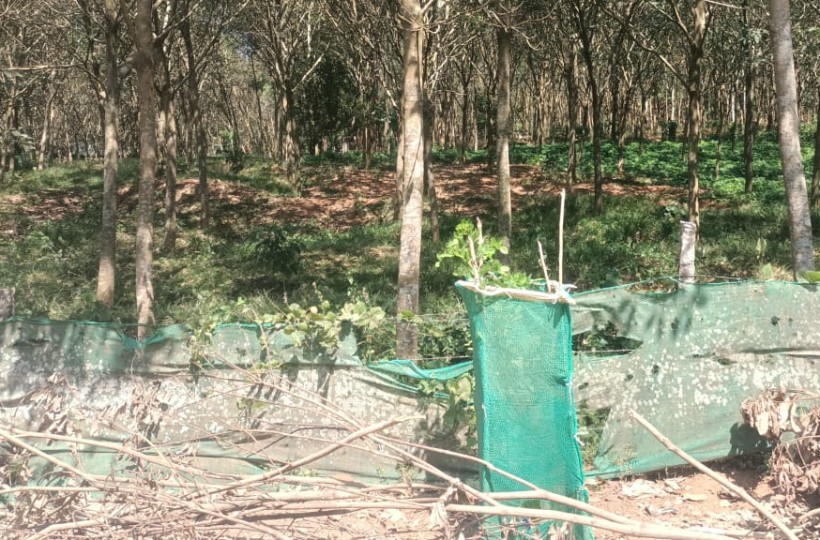 1 Acre  50 Cent Residential Plot For Sale In Devicode (Melpuram To Cheruvalloor Road )