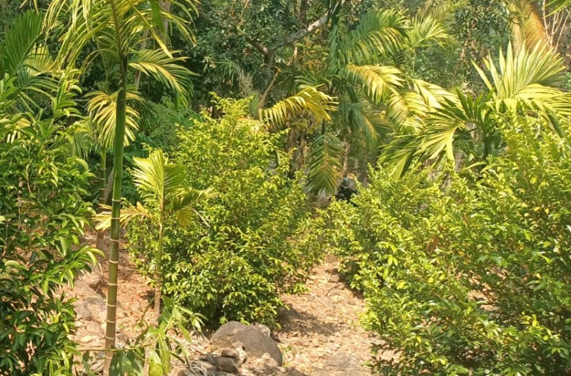 1 Acre 70 Cent Agriland (Spices Garden) for sale in Pathukani