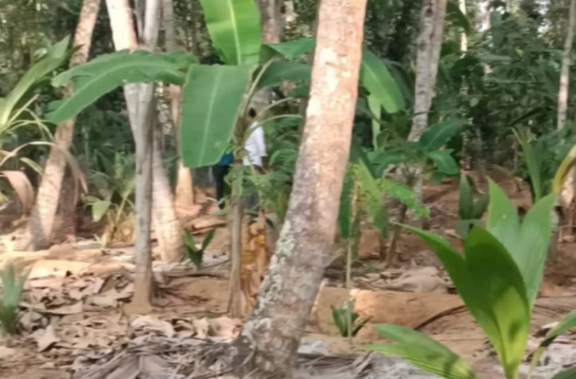 22 Cent Agri land  for Sale In Parthivapuram