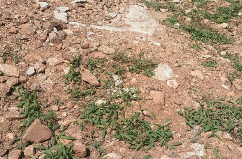 23 Cent  Plot For Sale In Kappukadu  ( 4-lane Road )