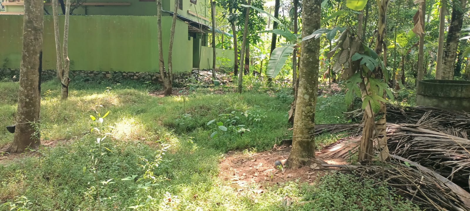 23 Cent Residential Plot For Sale In Pacode