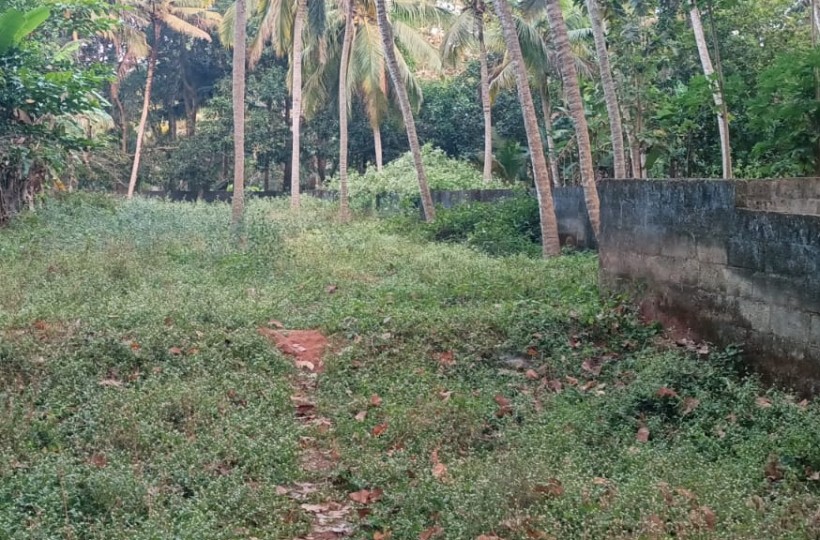 25 Cent Residential Plot for sale In Kundancode