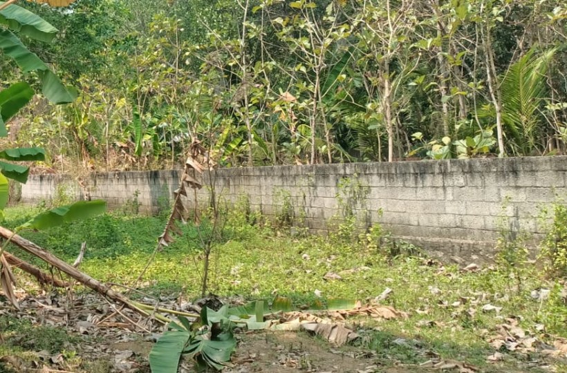 25 Cent Residential  Plot  for sale In Marayapuram (Near 4 Lane Road)