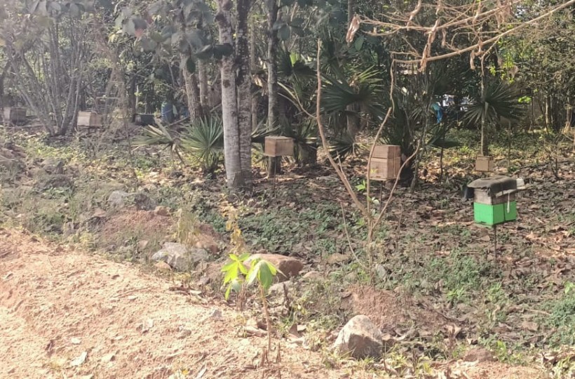 25 cent Residential  Plot for sale in Ponnappanagar-Varuthattu (Near 4 Lane Road)