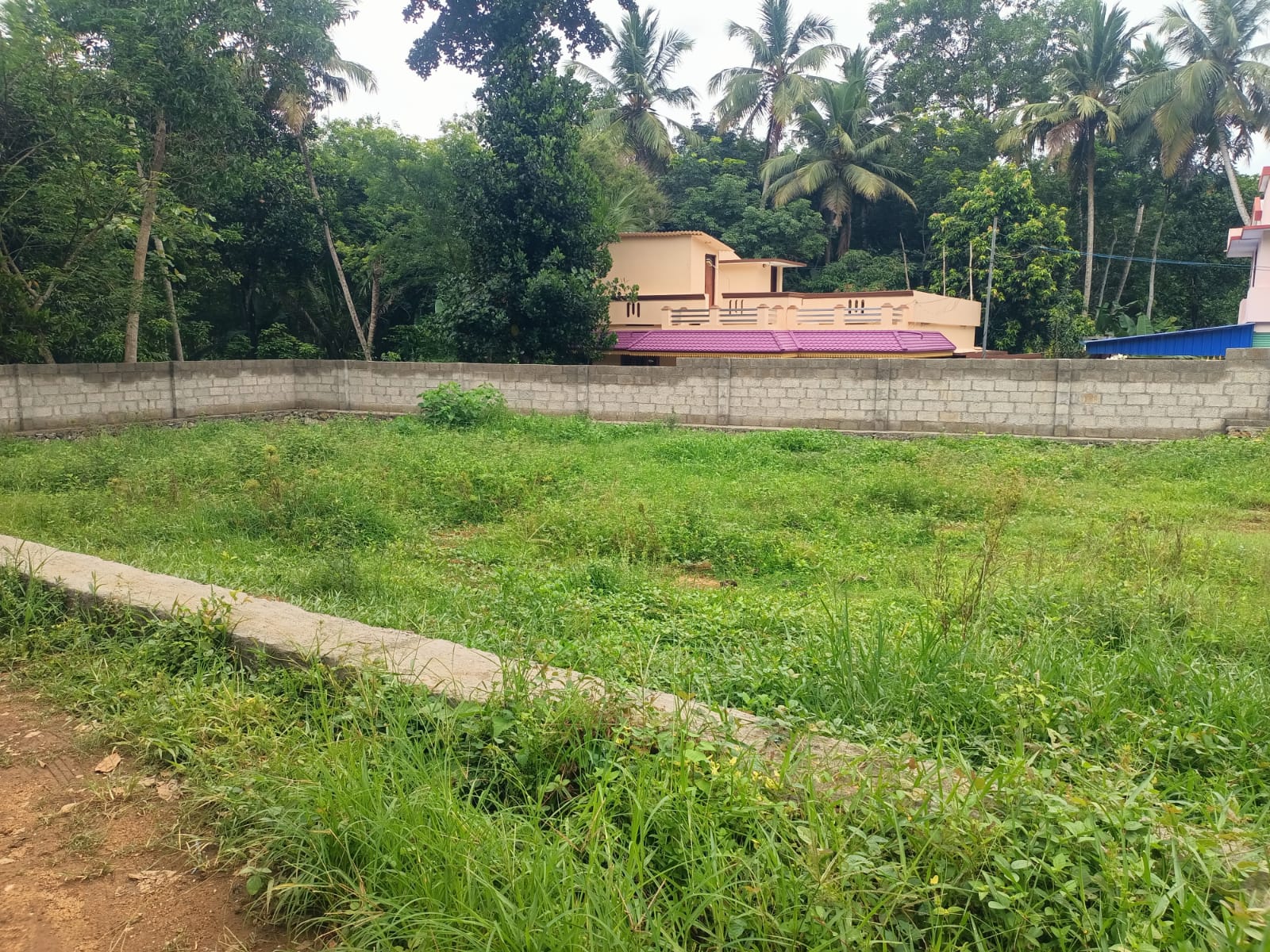 26 Cent Residential Plot for sale in Anducode