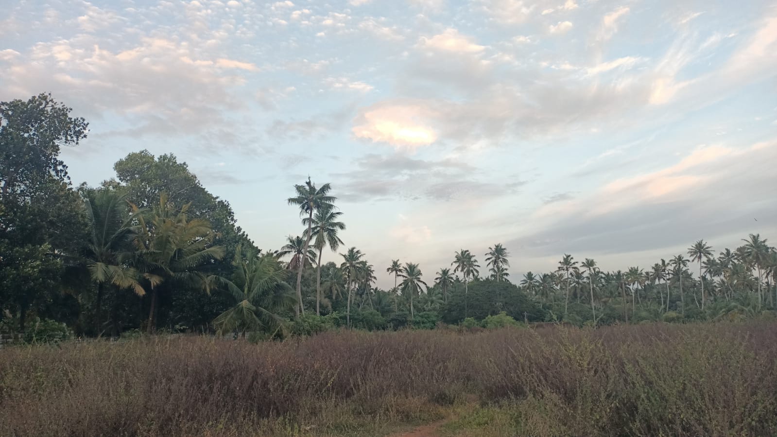 2 acre 75 cent Residential plot for sale in Thalakulam (Near Monday Market)