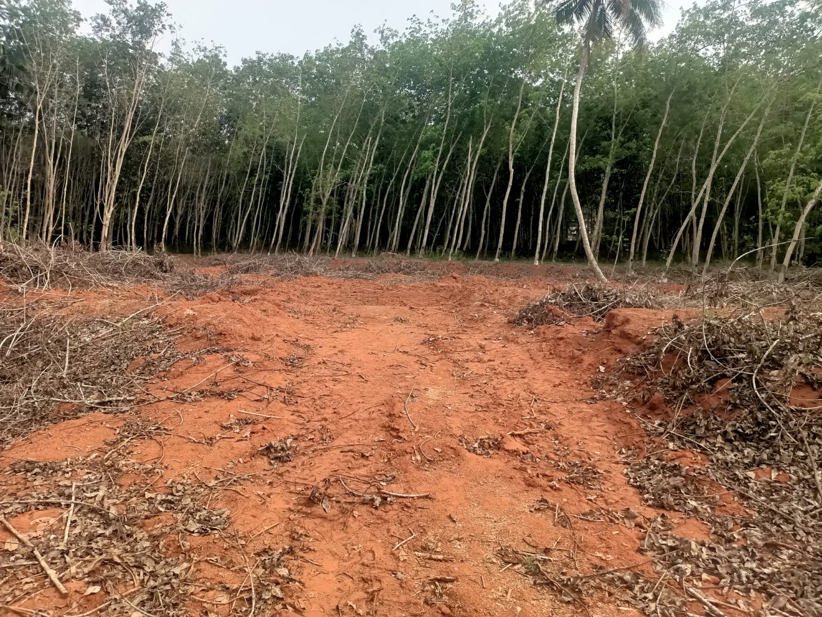 2 Acres 20 cent Residential Plot for sale in Tholayavattam