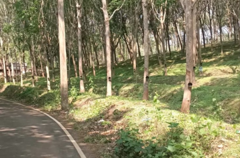 2 acres 50 cent Agriculture Land for sale in Mukkuttukal