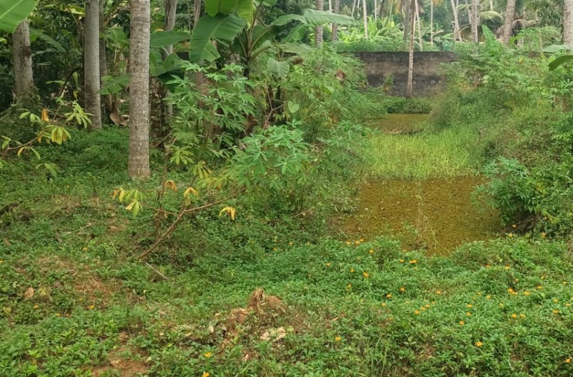 31 Cent Agriculture Land Sale In Munchirai