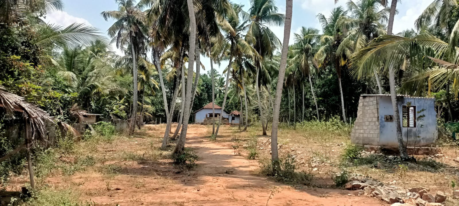 38 Cent Residential Plot for sale in Midalam(Indira Nagar)