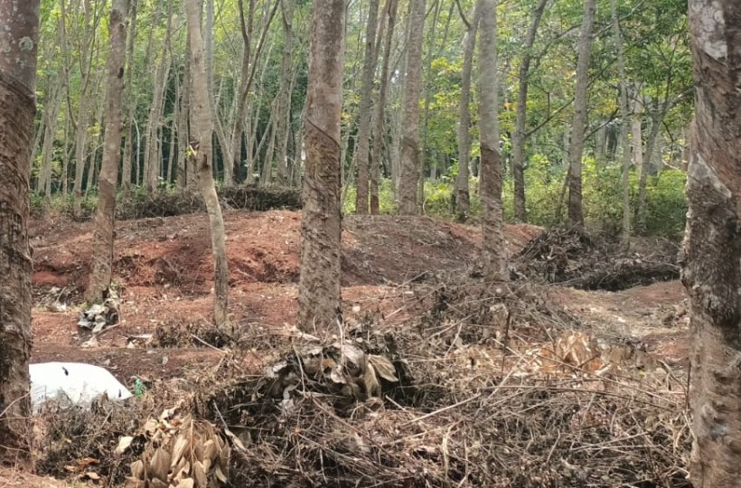 39 Cent Residential  Plot for sale in Mangarai