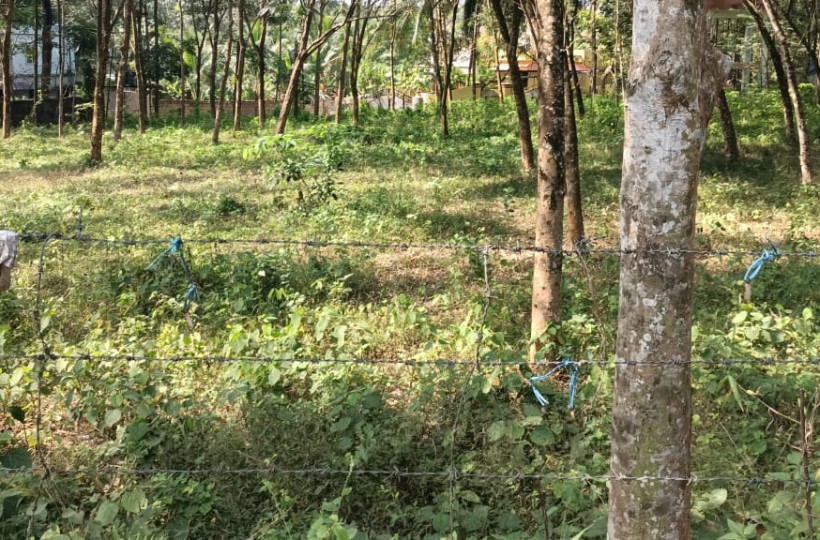 40 Cent  Residential Plot For Sale In Aluvilai (Melpuram To Marthandam Road)