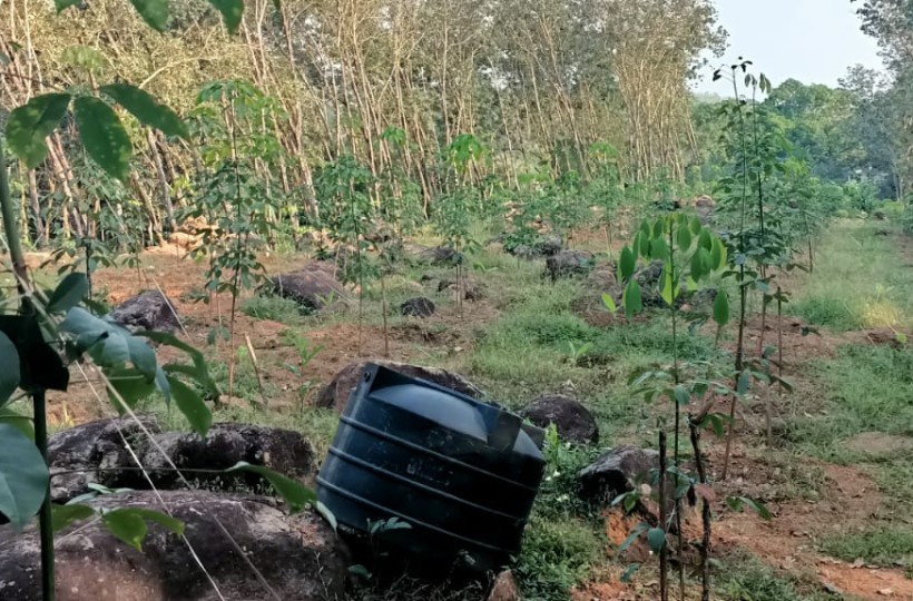 44 Cent  Residential Plot For Sale Near  Thirparappu  Water Falls & Boating