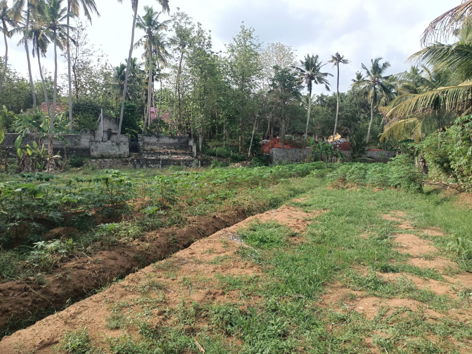 47 Cent Residential Plot for sale in Nattalam