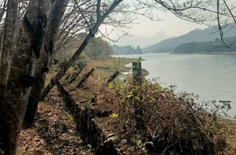 4 Acres 50 Cent Agriland ( Rubber Trees)sale in Penu