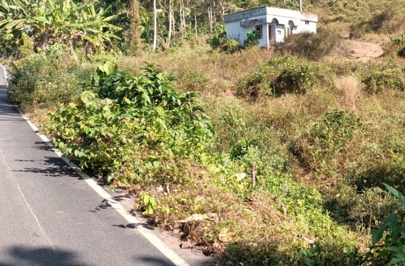 4 Acres 50 Cent  Agriland(Rubber Trees) for sale in Kattuva