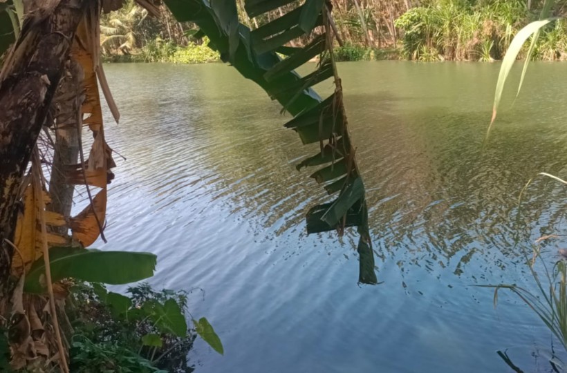 50 Cent Commercial Land for sale in Thirparappu