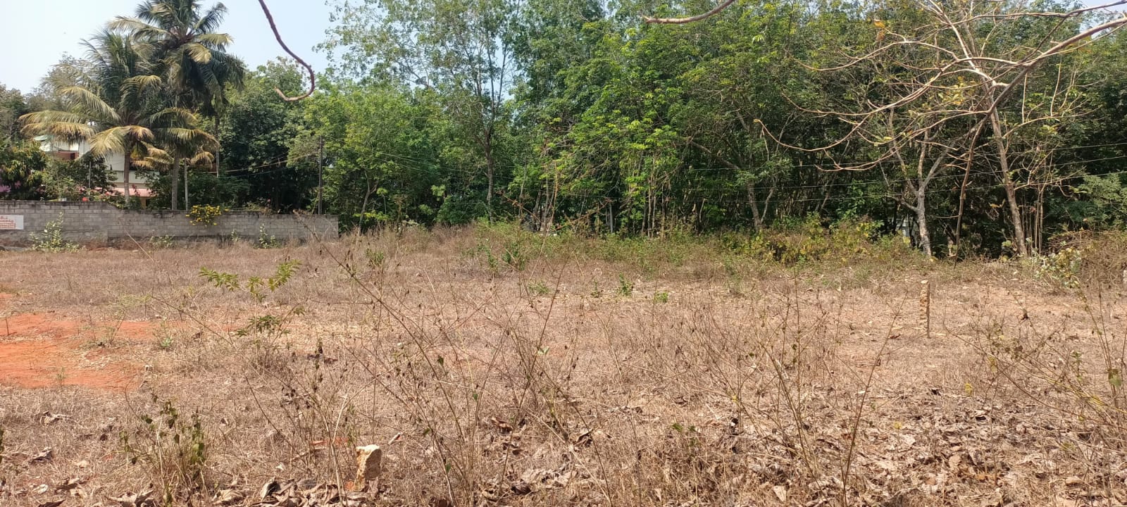 56 Cent Residential Plot for sale in Koottalumoodu(Sakthi Nagar)