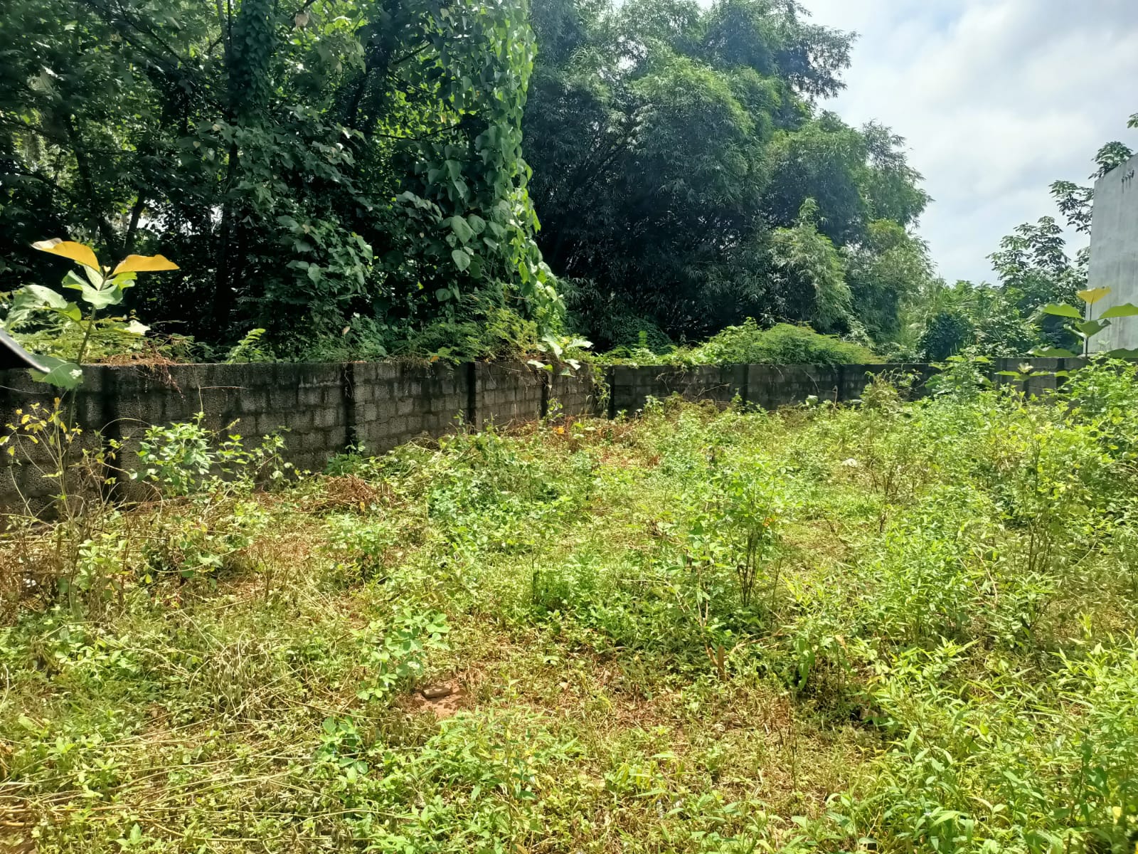5 Cent Residential Plot for sale in Kadayal