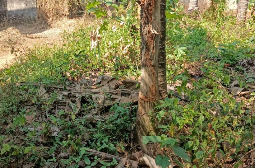 5 Cent Residential Plot for sale In Kulasekaram