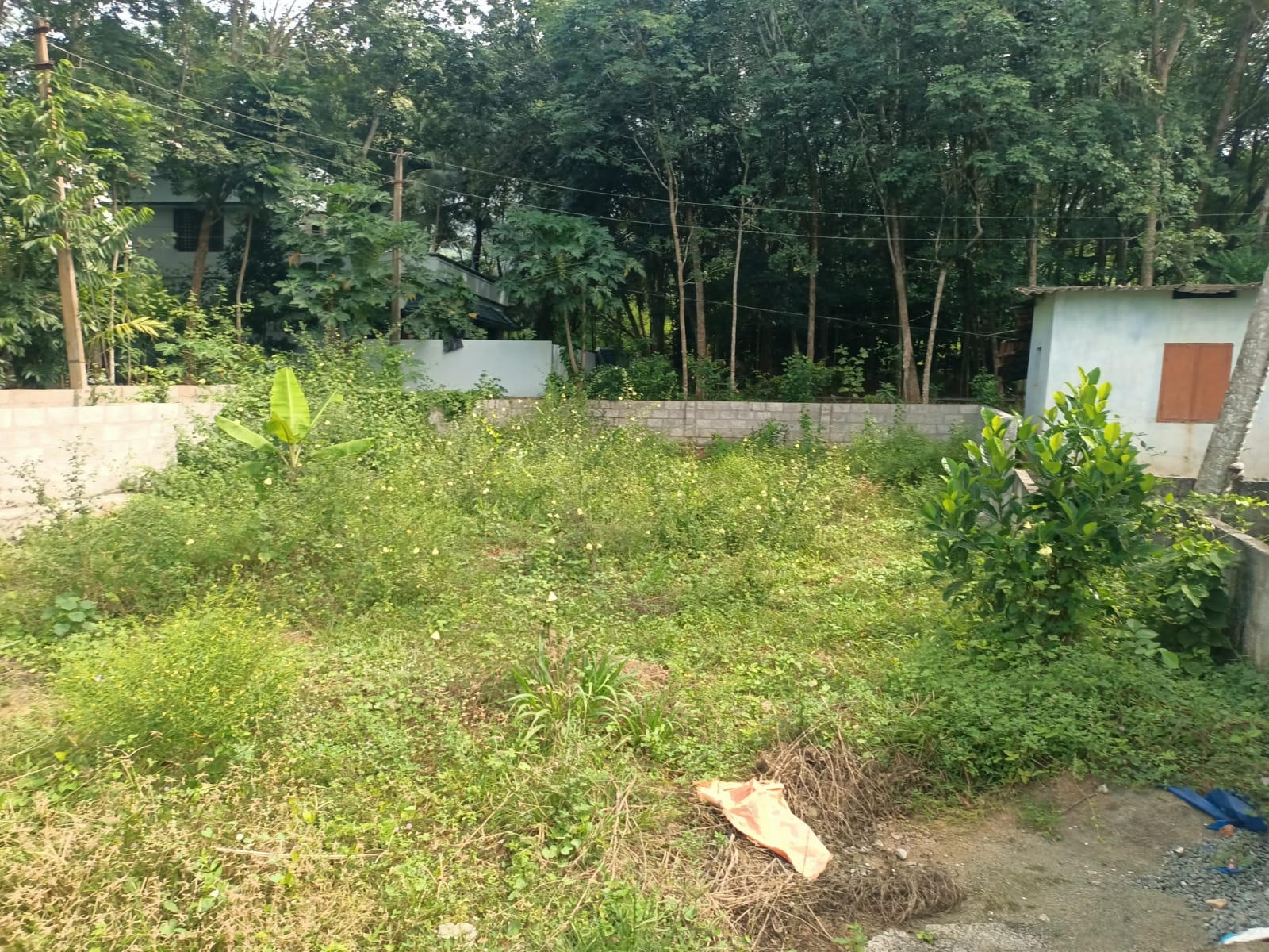 6.50 Cent Residential Plot for sale in  Athencode (Near 4 Lane Road)