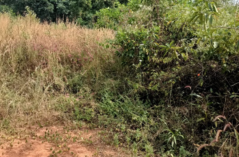 90 Cent Residential Plot for sale In Ponnapanagar (4- Lane Road)