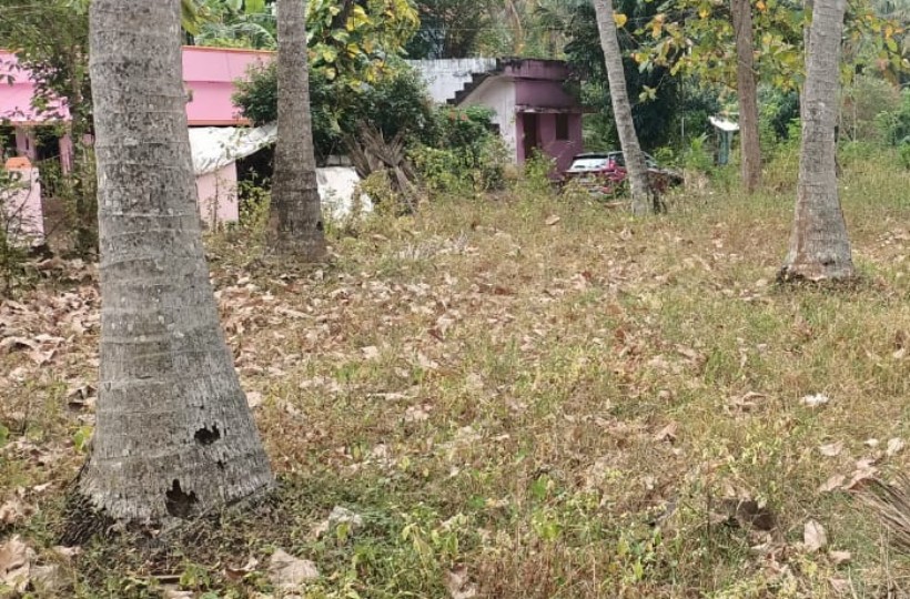 6 Acres Residential Plot for sale In Thoppor