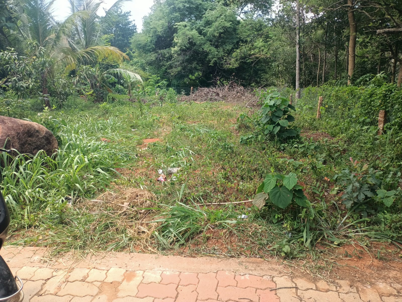 6 Cent Residential plot  for sale in Killiyoor