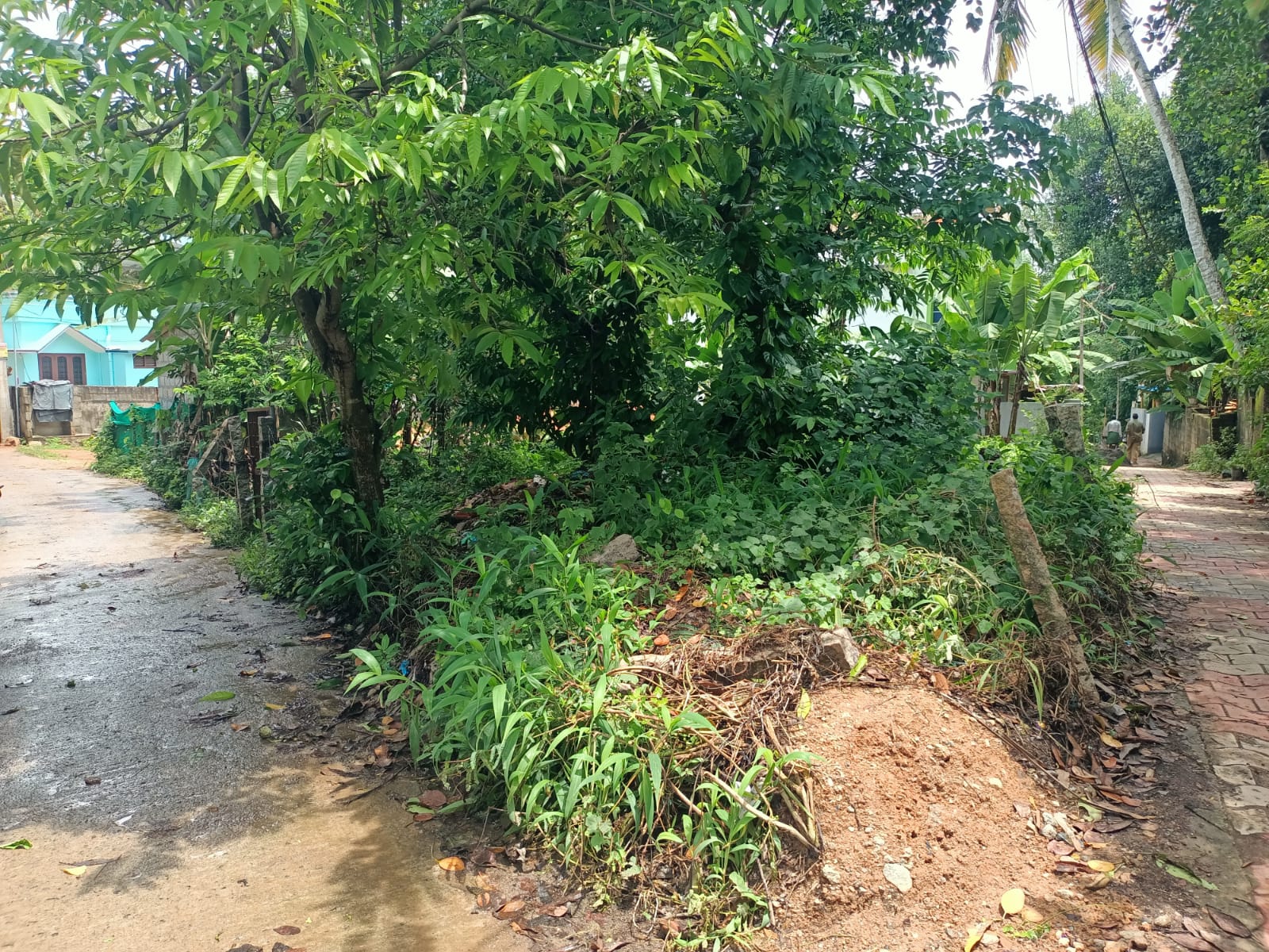 6 Cent Residential plot  for sale in Kuzhithurai (Near to Court)