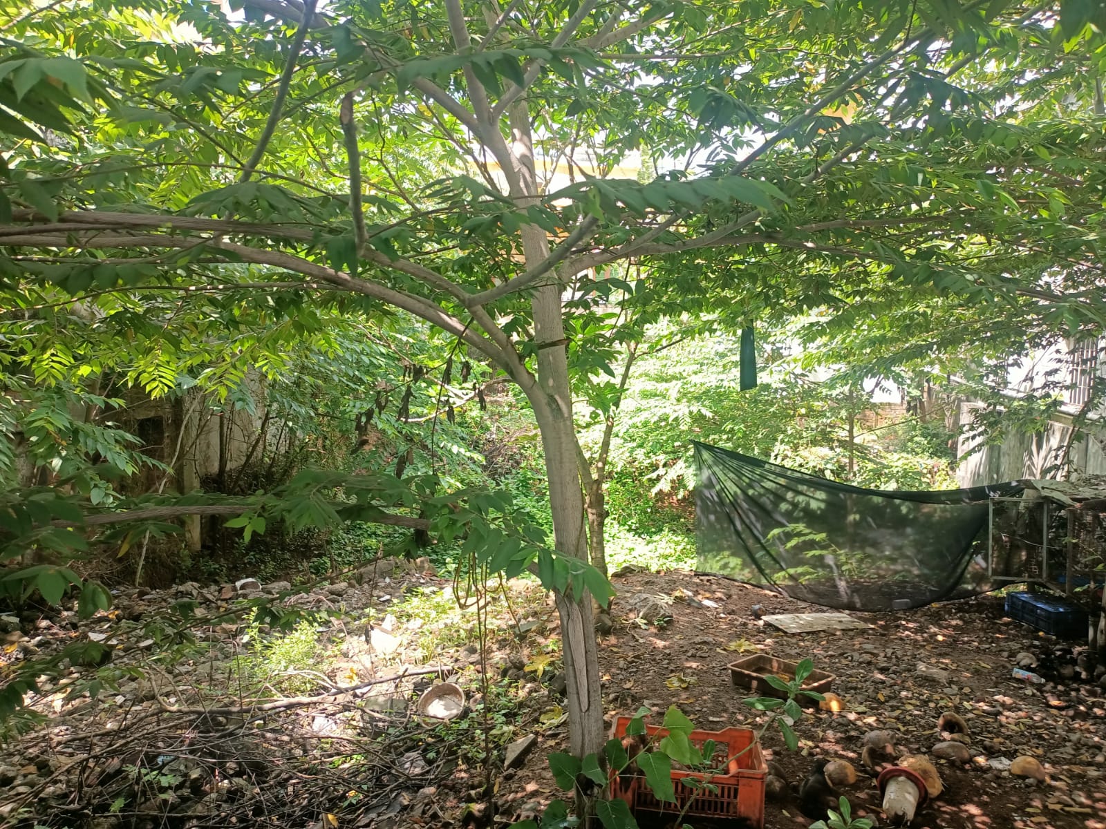 7.50 Cent Residential Plot for sale in Vettumani (Near Honda showroom)