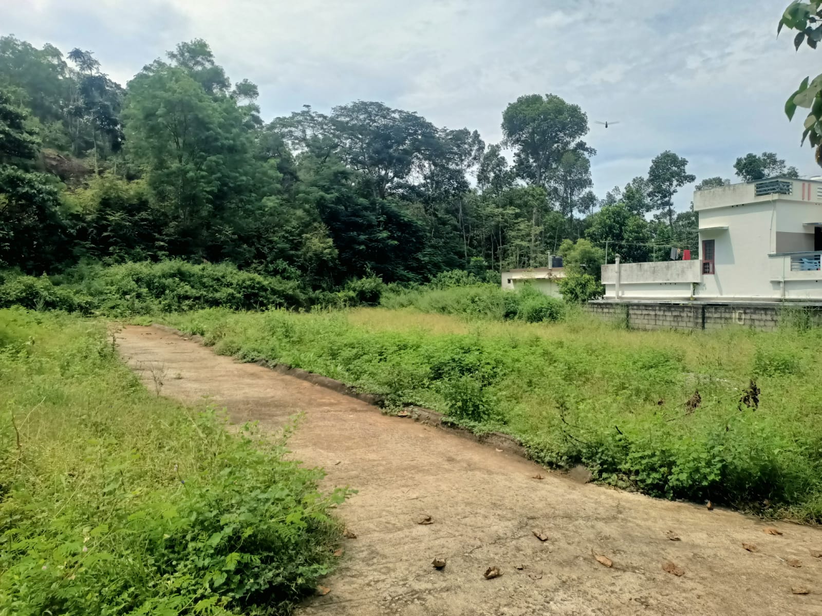 70 Cent Residential Plot for sale in Panachamoodu