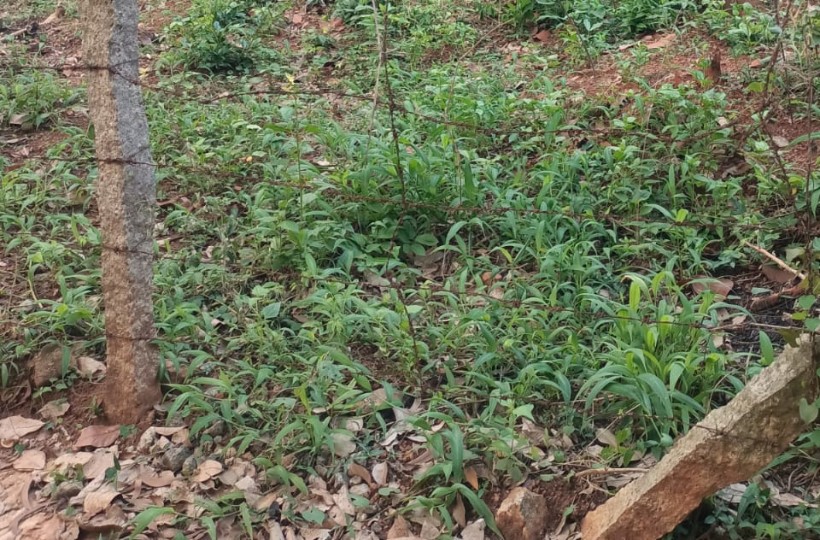 7 Cent Residential Plot for sale in Chennithottam