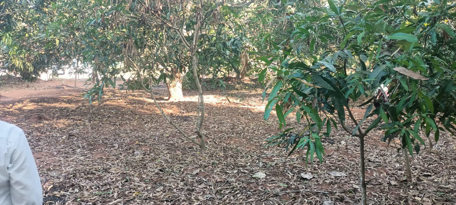 7 Cent Residential Plot for sale in Kottavilai