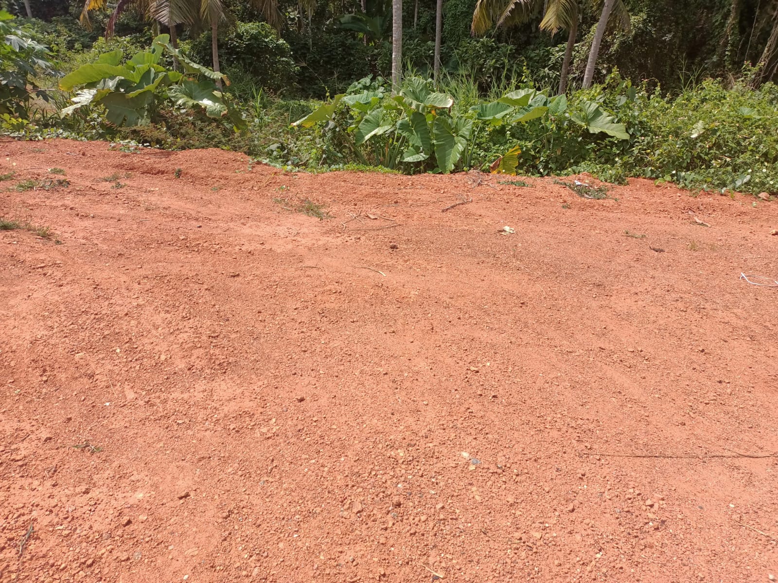 9 Cent Residential plot for sale in  Chengavilai Jn (Near 4 Lane Road)