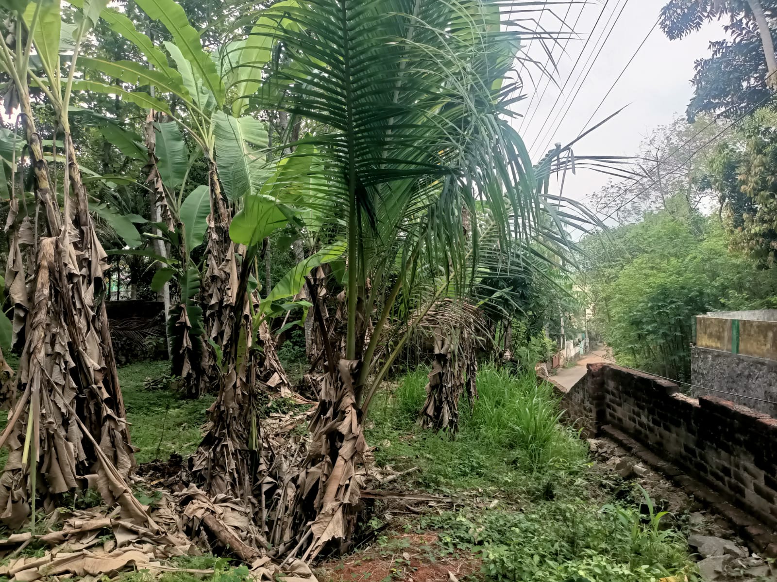 9  Cent Residential Plot for sale in Marthandam (Sinclair Street)