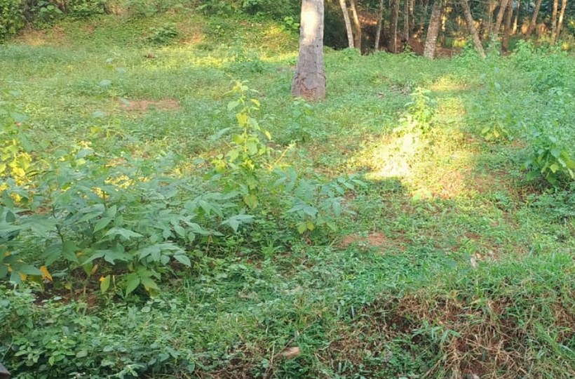 House Plot For Sale in Vizhunthayampalam, Vadakkukarai- 30 Cent.