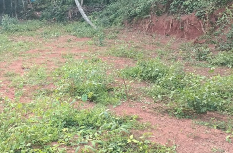 Land for Sale in Vellayampalam -Vencode