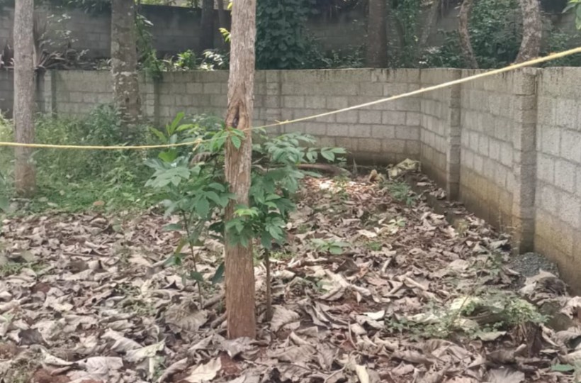 Land for Sale in Painkulam