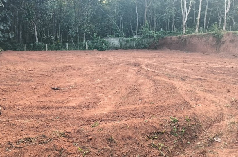 Land for Sale in Paruthivilai -Puthukadai Police station Back 12 cent